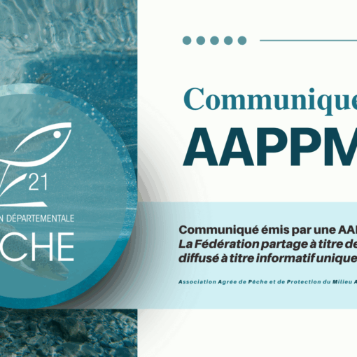 Assemblées des AAPPMA 2026